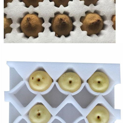 瀏陽異形材珍珠棉現(xiàn)貨供應(yīng) 解析塑料異型的多樣化應(yīng)用與品質(zhì)保障